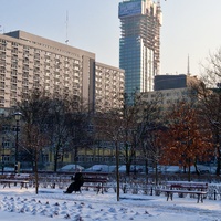 Cosmopolitan z parku przy Hali Mirowskiej.