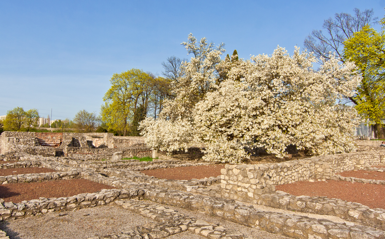 Aquincum.